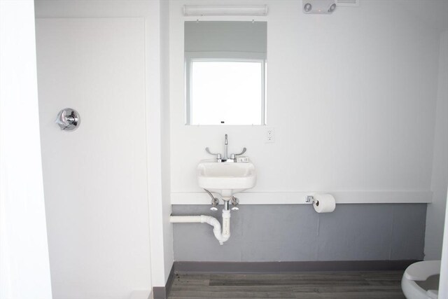 bathroom featuring sink, toilet, and wood-type flooring