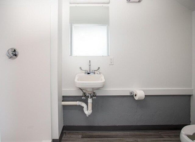 bathroom featuring hardwood / wood-style flooring and toilet