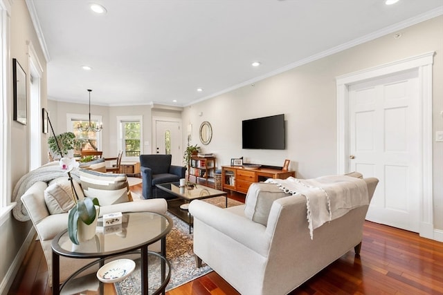 living room featuring a notable chandelier, dark hardwood / wood-style floors, and crown molding