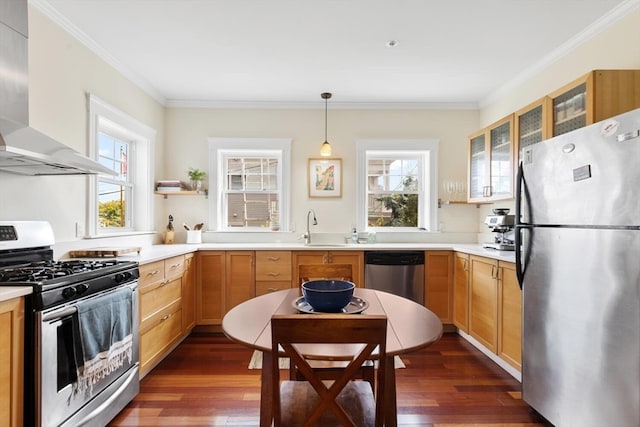 kitchen with wall chimney range hood, appliances with stainless steel finishes, a wealth of natural light, and dark wood-type flooring