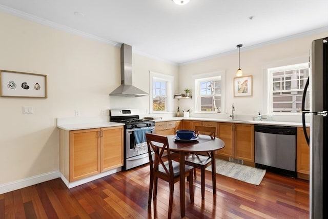 kitchen featuring appliances with stainless steel finishes, sink, dark hardwood / wood-style flooring, wall chimney exhaust hood, and pendant lighting