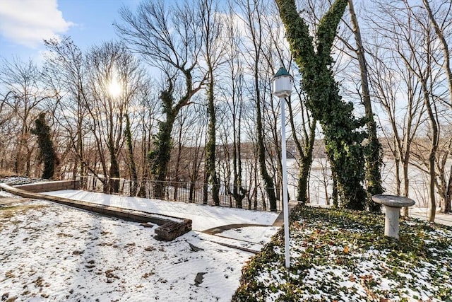 view of snowy yard