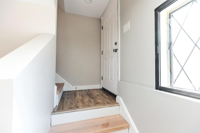 staircase featuring plenty of natural light and wood-type flooring