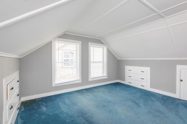 additional living space featuring vaulted ceiling and carpet floors