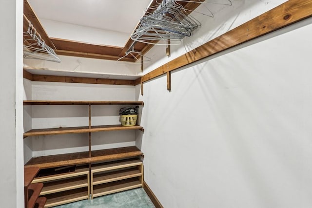 walk in closet with carpet floors