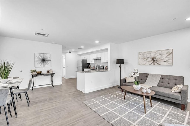 45 Morris St Unit 106, Springfield, MA 01105 - living room with light wood-type flooring, recessed lighting, and baseboards