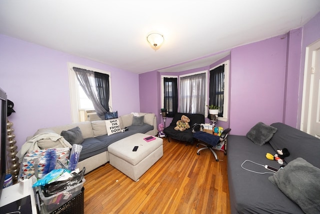 living room with hardwood / wood-style flooring