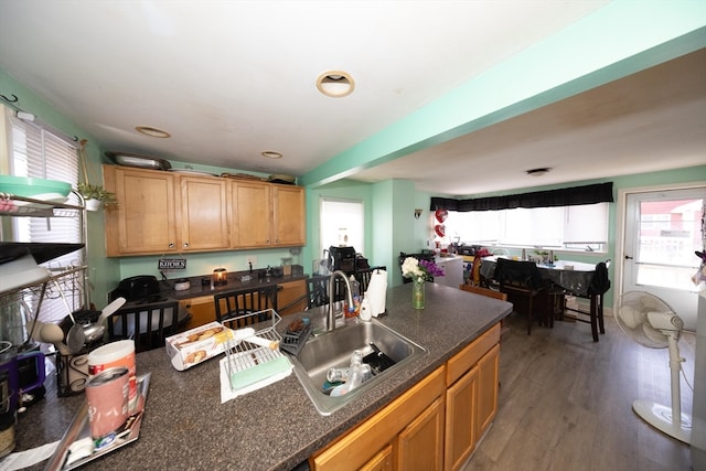 kitchen featuring sink and dark hardwood / wood-style floors