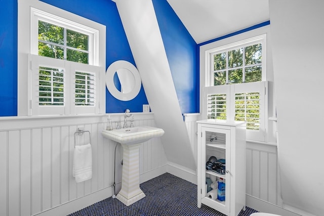 bathroom with lofted ceiling and a wealth of natural light