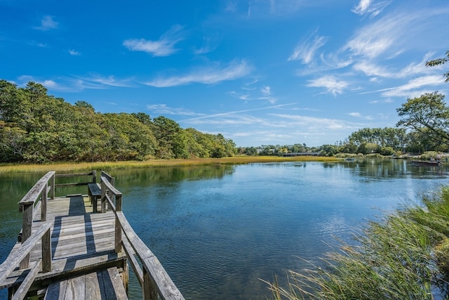 dock area with a water view