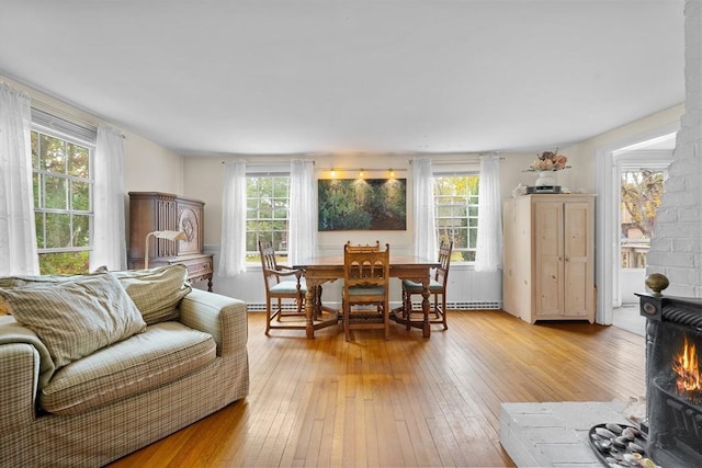 living room featuring light wood-type flooring and a wood stove