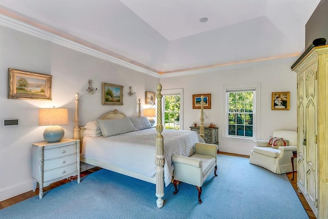 bedroom with wood-type flooring and a raised ceiling