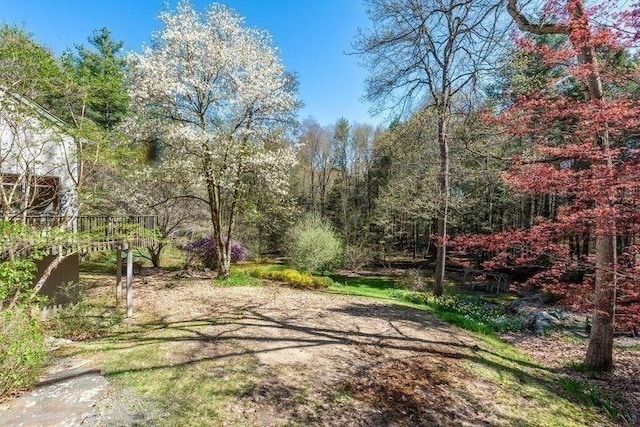 20 Lawton Rd, Leverett, MA 01054 - view of street with a view of trees