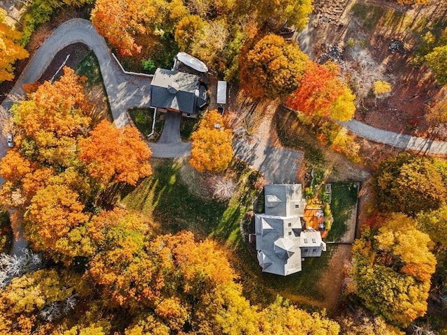 bird's eye view