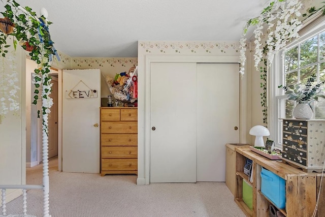7 Squannacook Ter, Townsend, MA 01469 - bedroom with a closet and light carpet