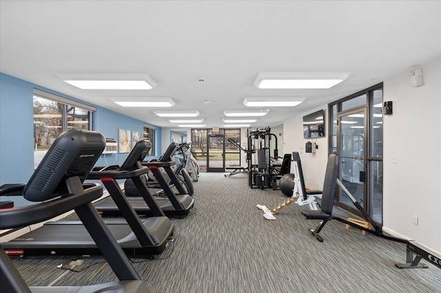 exercise room featuring carpet