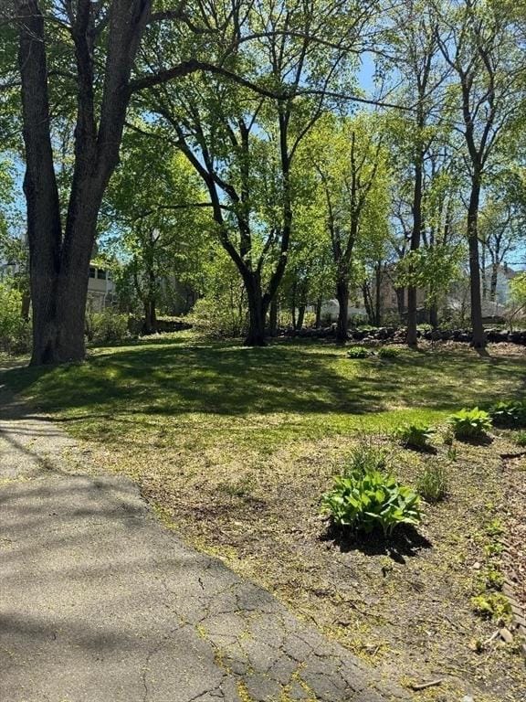909 High St, Fall River, MA 02720 - view of grassy yard