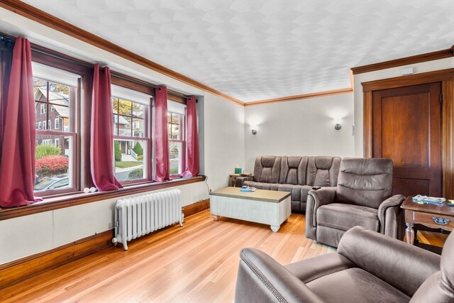 living room featuring light hardwood / wood-style flooring, radiator heating unit, and crown molding