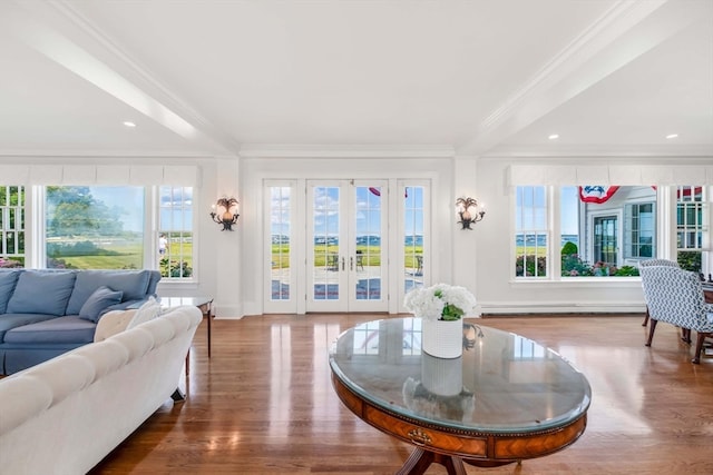 living room with crown molding, plenty of natural light, french doors, and wood-type flooring