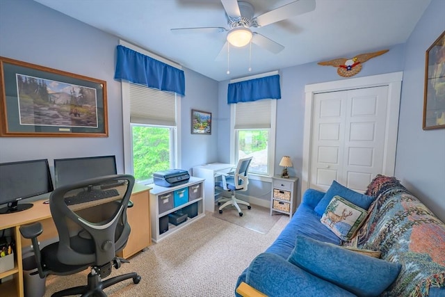 16 White Pine Knl Unit 199, Westford, MA 01886 - office space with healthy amount of natural light, carpet flooring, and a ceiling fan