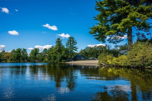 16 White Pine Knl Unit 199, Westford, MA 01886 - water view