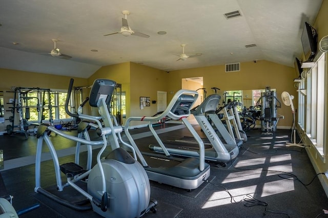 16 White Pine Knl Unit 199, Westford, MA 01886 - gym featuring vaulted ceiling, a ceiling fan, and baseboards