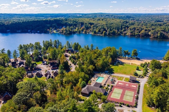 16 White Pine Knl Unit 199, Westford, MA 01886 - bird's eye view of a forest, a large body of water, and a pool area