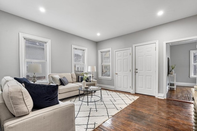 living room featuring dark wood-type flooring