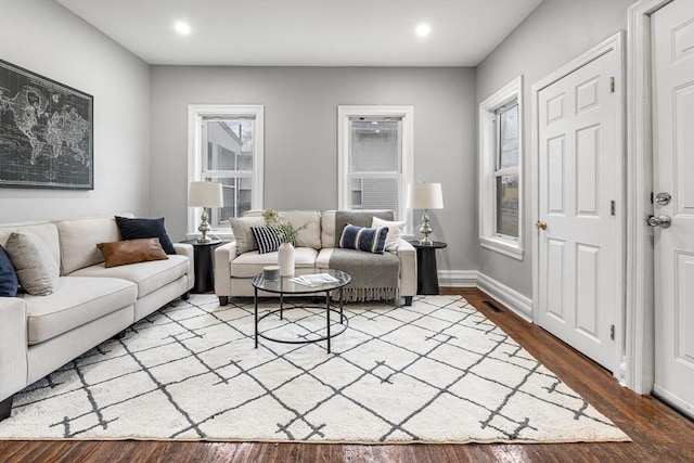 living room featuring wood-type flooring