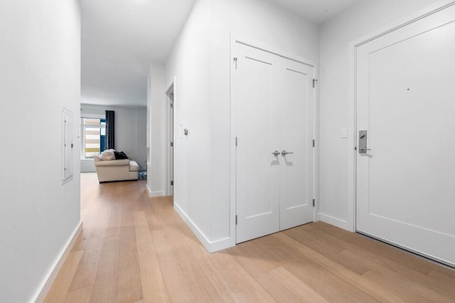 7 Lisbon St Unit 201, Boston, MA 02128 - hall with light wood finished floors and baseboards