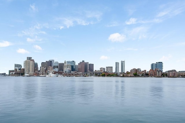 7 Lisbon St Unit 201, Boston, MA 02128 - water view featuring city skyline