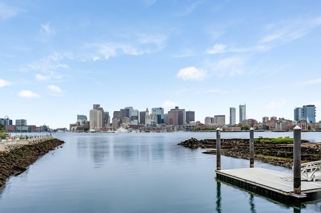 7 Lisbon St Unit 201, Boston, MA 02128 - water view with skyline and a floating dock