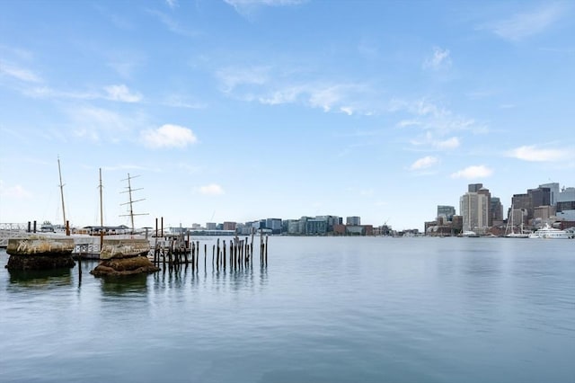 7 Lisbon St Unit 201, Boston, MA 02128 - water view with city skyline and a boat dock