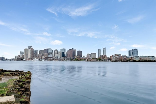 7 Lisbon St Unit 201, Boston, MA 02128 - water view featuring city skyline