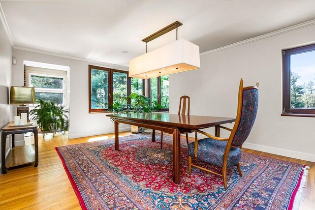 34 Lagrange St, Brookline, MA 02467 - dining area featuring light wood finished floors and crown molding