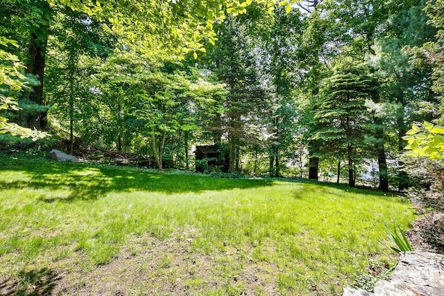 34 Lagrange St, Brookline, MA 02467 - view of grassy yard featuring a view of trees