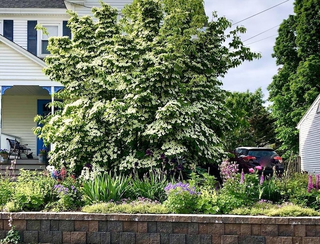 view of yard featuring covered porch