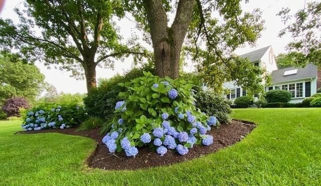 11 Tara Dr, Pembroke, MA 02359 - view of grassy yard