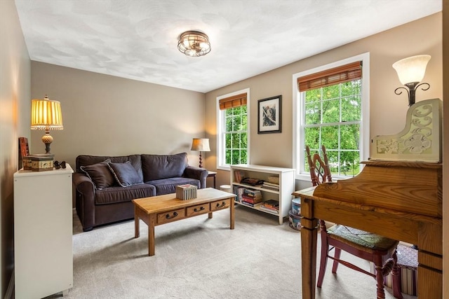 67 Hillside St, Rowley, MA 01969 - living room with light carpet