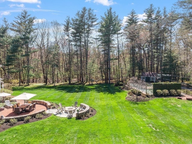 view of yard with an outbuilding, a fire pit, and a patio area
