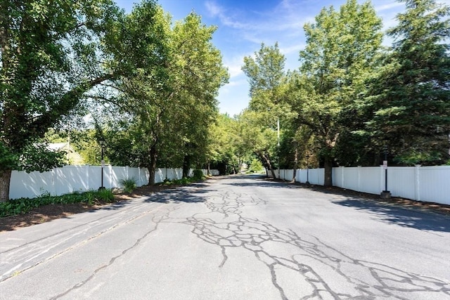 23 Indian Cove Way Unit 23, Easton, MA 02375 - view of asphalt road