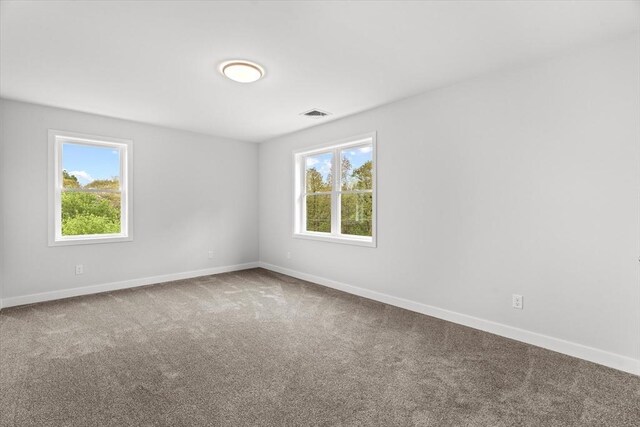 spare room with plenty of natural light, carpet, and baseboards