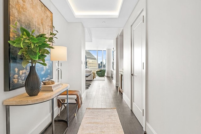 hall featuring dark wood-type flooring