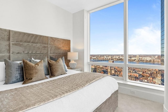 carpeted bedroom with a water view