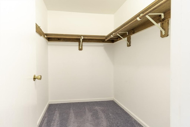 73 Mountain Gate Rd Unit 73, Ashland, MA 01721 - walk in closet featuring carpet