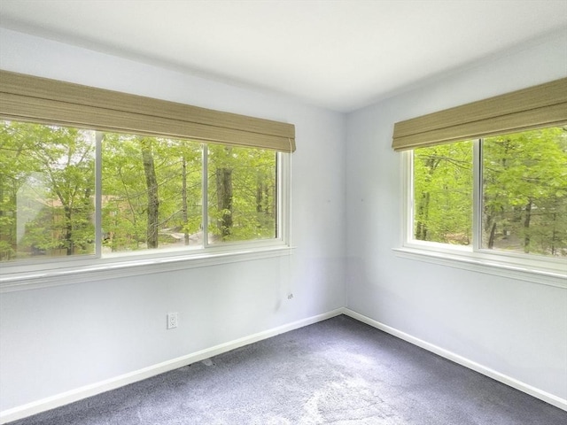 73 Mountain Gate Rd Unit 73, Ashland, MA 01721 - carpeted spare room featuring healthy amount of natural light and baseboards