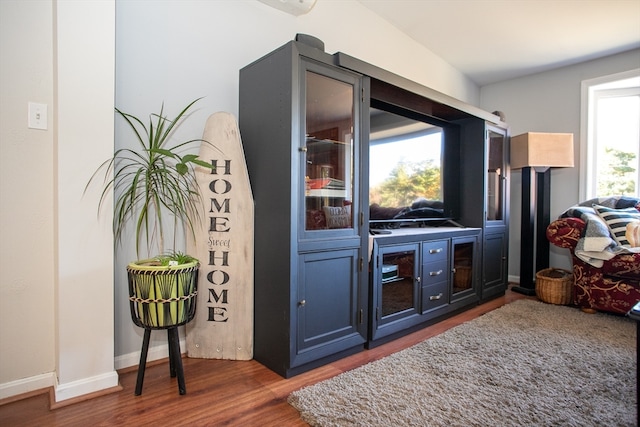 bar featuring a healthy amount of sunlight, blue cabinetry, and dark hardwood / wood-style flooring