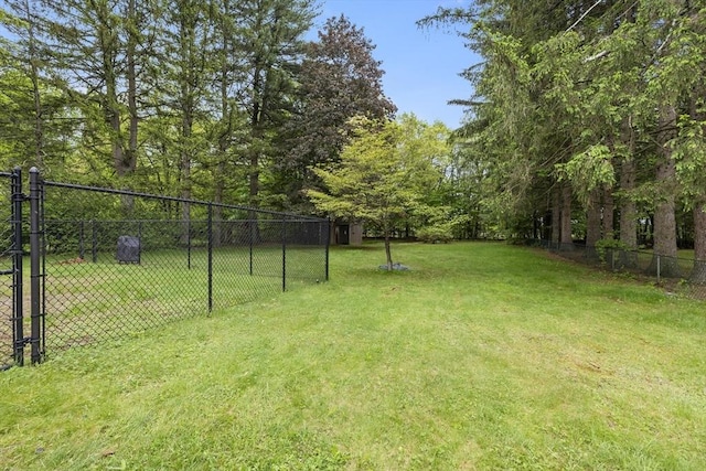 43 Pleasantview St, Ludlow, MA 01056 - view of yard