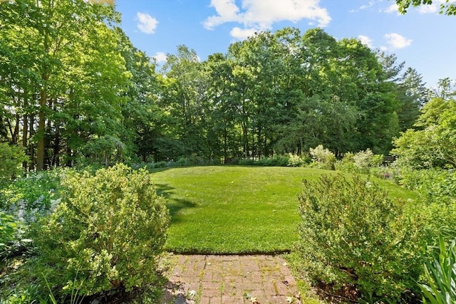 view of green lawn