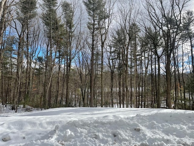 view of yard layered in snow